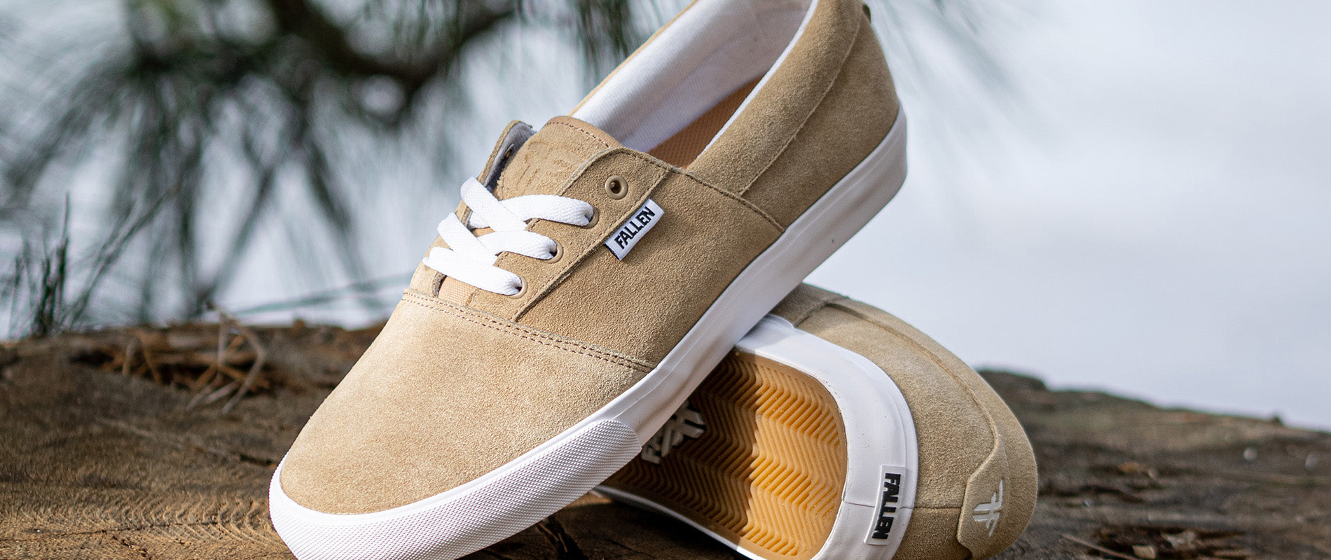 Coronado - Tommy Sandoval